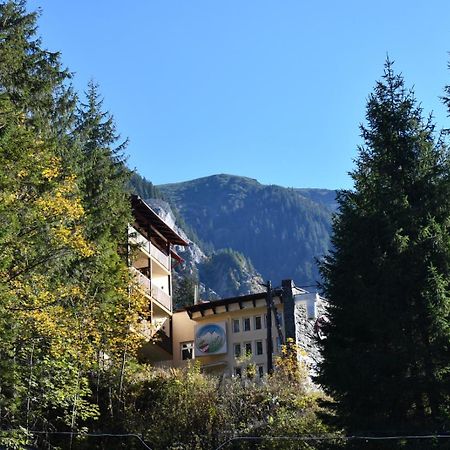 Balea Teleferic Hotel Cîrţişoara Exterior foto